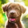 aweinstock_19